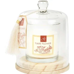 Candra Absolu Chic Geurkaars In Stolp^ Kaarsen