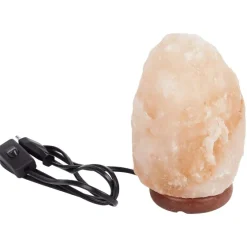 LSC Smart Connect Absolu Chic Zoutsteenlamp^ Lampen