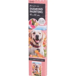 Disney Avec Diamond Painting^ Knutselen