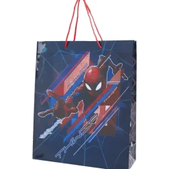 Disney Cadeautas^ Inpakken