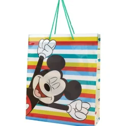 Disney Cadeautas^ Inpakken