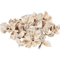 Merk Decoratieblaadjes^ Kunstplanten & -Bloemen