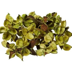 Merk Decoratieblaadjes^ Kunstplanten & -Bloemen