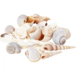 Merk Decoschelpen^ Woonaccessoires