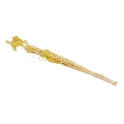 Green Boots Droogboeket^ Zaaien & Planten