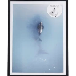 Merk Fotoframe Met Posters^ Fotolijstjes