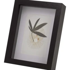 Merk Fotolijst Met Passepartout^ Fotolijstjes