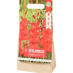 Green Boots Gladiolen Bloembollen^ Zaaien & Planten