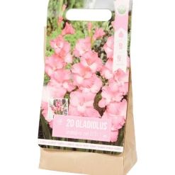 Green Boots Gladiolen Bloembollen^ Zaaien & Planten