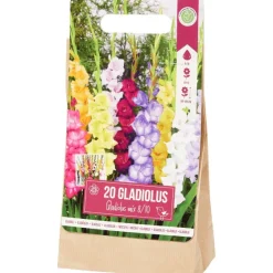 Green Boots Gladiolen Bloembollen^ Zaaien & Planten