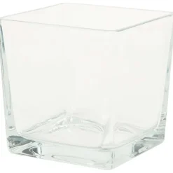 Merk Glazen Accubakje^ Potten & Vazen