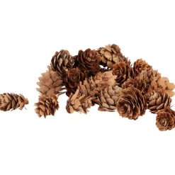 Merk Home Accents Decoratiemateriaal^ Woonaccessoires