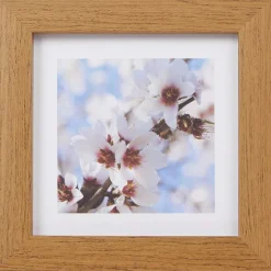 Merk Home Accents Fotolijst^ Fotolijstjes