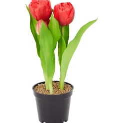 Merk Home Accents Kunsttulpen In Pot^ Kunstplanten & -Bloemen