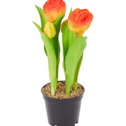 Merk Home Accents Kunsttulpen In Pot^ Kunstplanten & -Bloemen