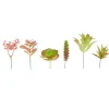 Merk Home Accents Kunstvetplanten^ Kunstplanten & -Bloemen
