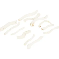 Merk Home Accents Natural Droogmix^ Kunstplanten & -Bloemen