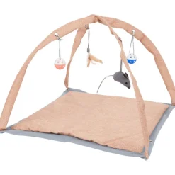 Whiskas Kattenspeelkleed^ Speeltjes