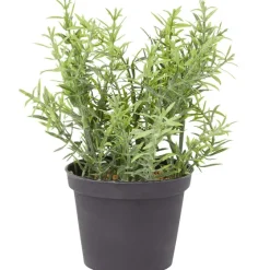 Merk Kunstkruidenplant^ Kunstplanten & -Bloemen