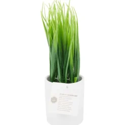 Merk Kunstplant In Pot^ Kunstplanten & -Bloemen