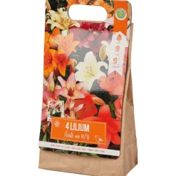 Green Boots Lelie Bloembollen^ Zaaien & Planten