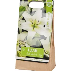 Green Boots Lelie Bloembollen^ Zaaien & Planten