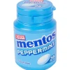 Mentos Kauwgom Peppermint^ Drop & Snoep