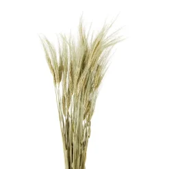 Merk Nederlandse Droog Kunstbloemen^ Kunstplanten & -Bloemen