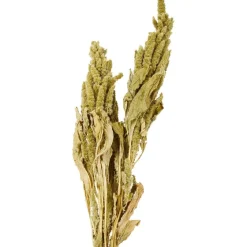 Merk Nederlandse Droog Kunstbloemen^ Kunstplanten & -Bloemen