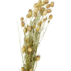 Merk Nederlandse Droog Kunstbloemen^ Kunstplanten & -Bloemen