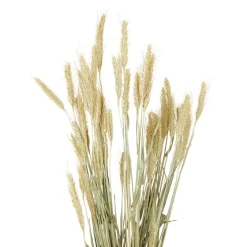 Merk Nederlandse Droog Kunstbloemen^ Kunstplanten & -Bloemen