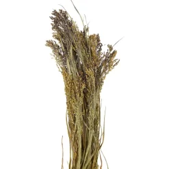 Merk Nederlandse Droog Kunstbloemen^ Kunstplanten & -Bloemen