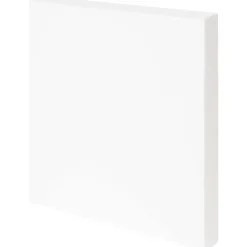 Van Bleiswijck Schildersdoek^ Schilderen