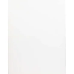 Van Bleiswijck Schildersdoek^ Schilderen