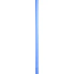 Intex Zwemnoodle^ Waterspeelgoed