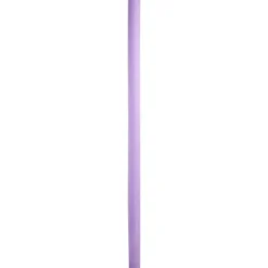 Intex Zwemnoodle^ Waterspeelgoed